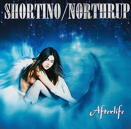 Afterlife [Vinyl LP] von New Platform
