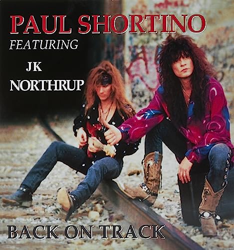 Back On Track [Vinyl LP] von New Platform