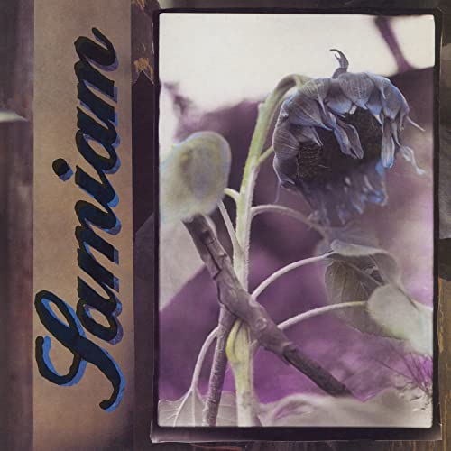 Samiam [Vinyl LP] von New Red Archives