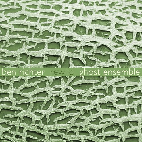 Ben Richter: Rewild Ben Richter: Rewild von New World Records