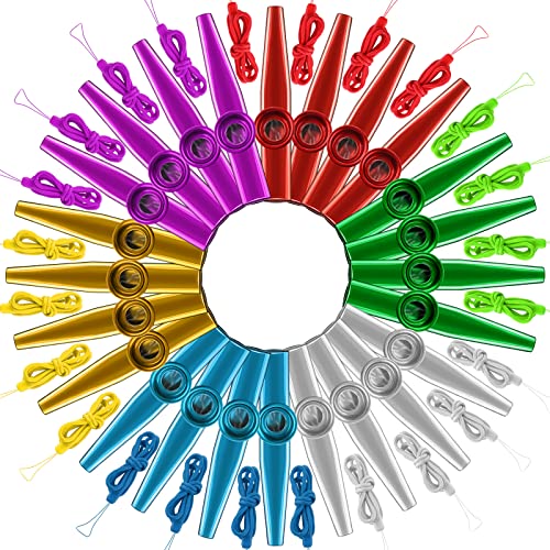 48 Stück Metall-Kazoos mit Schlüsselbändern, Musikinstrumente, Kazoo-Flöte, Großpackung, guter Begleiter für Gitarre, Violine, Klavier, Keyboard, Ukulele, Kinder, Erwachsene, Geschenk, Partygeschenke von Newwiee