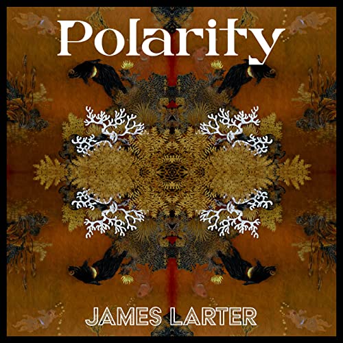 Polarity [Vinyl LP] von Next Door Records