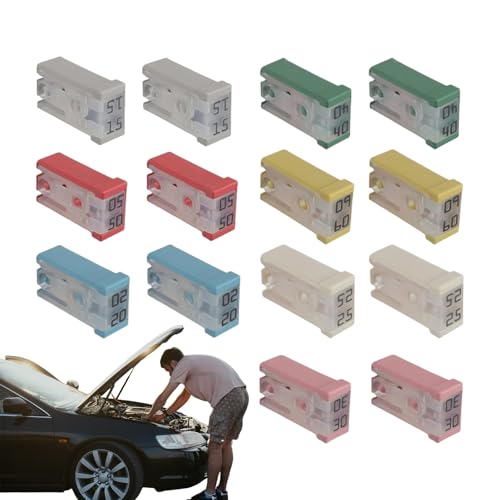 Kfz-Sicherungssatz, Sicherungssortiment - 14 Stück Kleine Schlitzsicherungen | Hochwertiger Schutz Verschiedene Sicherungen, 15 A, 20 A, 25 A, 30 A, 40 A, 50 A, 60 A, Kfz-Sicherungs-Sortimentsset Für Kfz-Sicherungssatz, Sicherungssortiment - 14 Stück Kleine Schlitzsicherungen | Hochwertiger Schutz Verschiedene Sicherungen, 15 A, 20 A, 25 A, 30 A, 40 A, 50 A, 60 A, Kfz-Sicherungs-Sortimentsset Für von Nexusectar