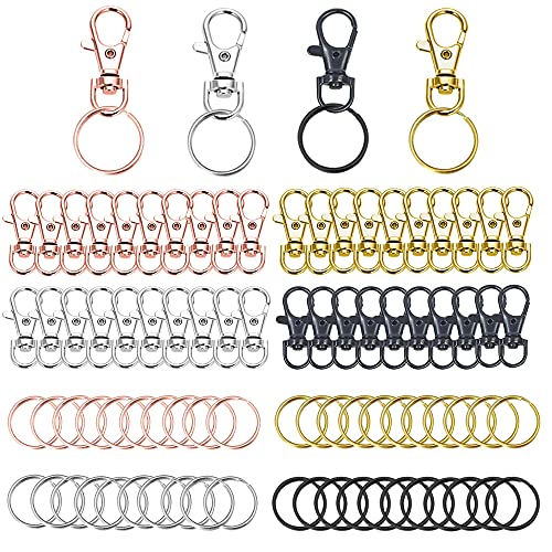Niaciswe Schlüsselringe Karabiner 80 Stücke Schlüsselanhänger Ring Karabiner Schlüsselanhänger Karabienerverschlüsse Klein Karabinerhaken Klein Key Rings Schlüsselring Karabinerhaken Niaciswe Schlüsselringe Karabiner 80 Stücke Schlüsselanhänger Ring Karabiner Schlüsselanhänger Karabienerverschlüsse Klein Karabinerhaken Klein Key Rings Schlüsselring Karabinerhaken von Niaciswe