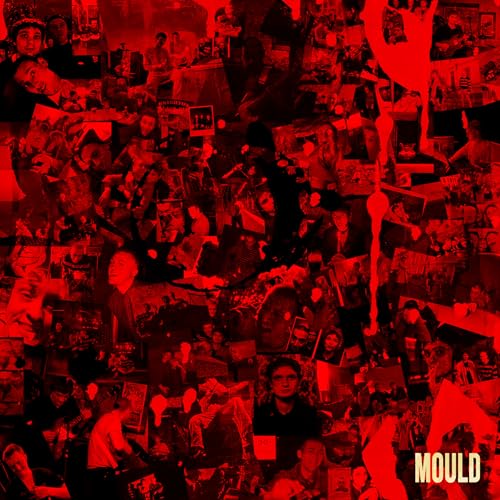 Mould Ep [Vinyl LP] von Nice Swan (Rough Trade)