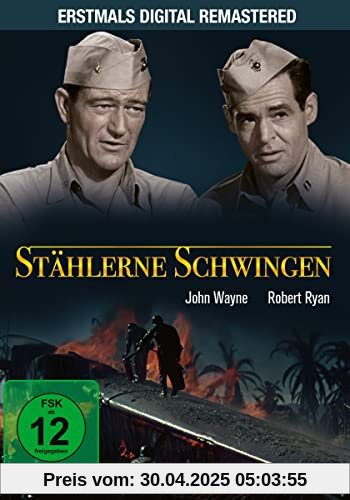 Stählerne Schwingen - Kinofassung (digital remastered) von Nicholas Ray
