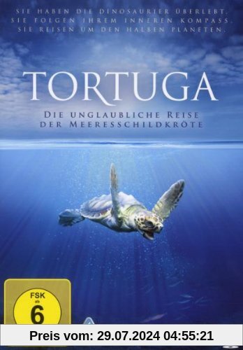 Tortuga - Die unglaubliche Reise der Meeresschildkröte von Nick Stringer