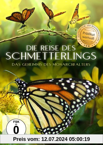 Die Reise des Schmetterlings - Das Geheimnis des Monarchfalters von Nick de Pencier