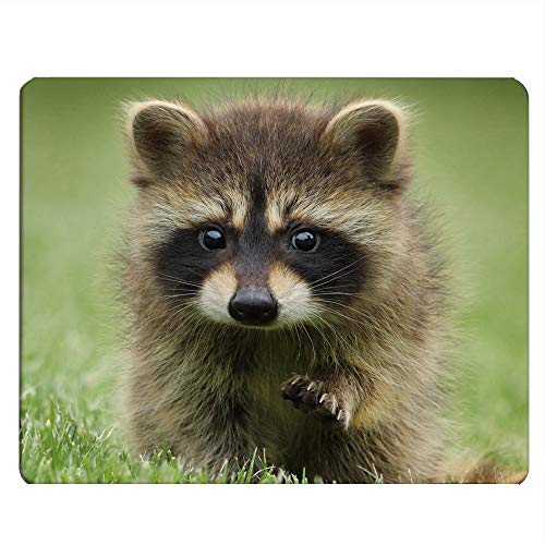 Nicokee Raccoon Gaming Mousepad Waschbär Gras Maulkorb Tier Walk Mauspad Mauspad Mauspad für Computer Schreibtisch Laptop Büro 9,5 x 7,9 Zoll Rutschfestes Gummi von Nicokee