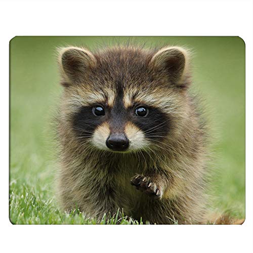 Nicokee Raccoon Gaming Mousepad Waschbär Gras Maulkorb Tier Walk Mauspad Mauspad für Computer Schreibtisch Laptop Büro 9,5 x 7,9 Zoll Rutschfestes Gummi von Nicokee