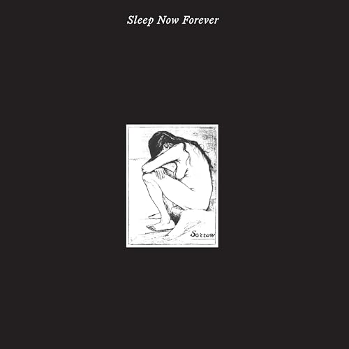 Sleep Now Forever [VINYL] [Vinyl LP] von Night School