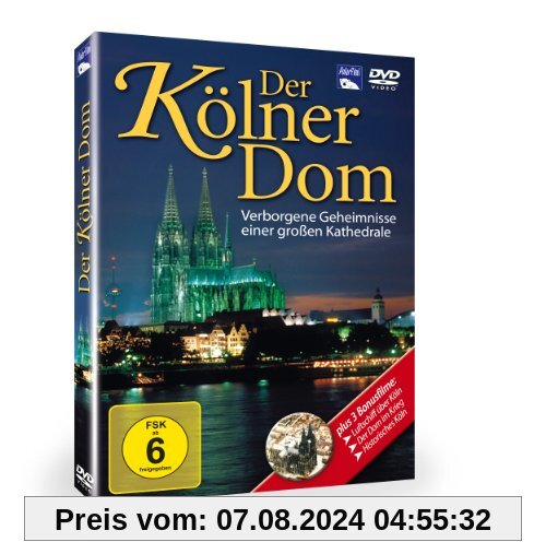 Der Kölner Dom von Nina Koshofer