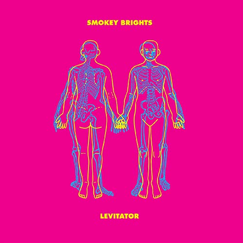 Levitator [Vinyl LP] von Nine Mile Records