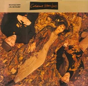 Autumn Leaves [Vinyl Maxi-Single] von Ninja Tune (Rough Trade)