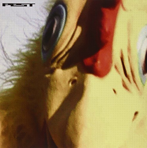 Chicken Spit [Vinyl Maxi-Single] von Ninja Tune