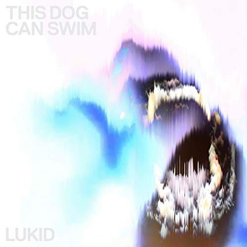 This Dog Can Swim [Vinyl Single] von Ninja Tune