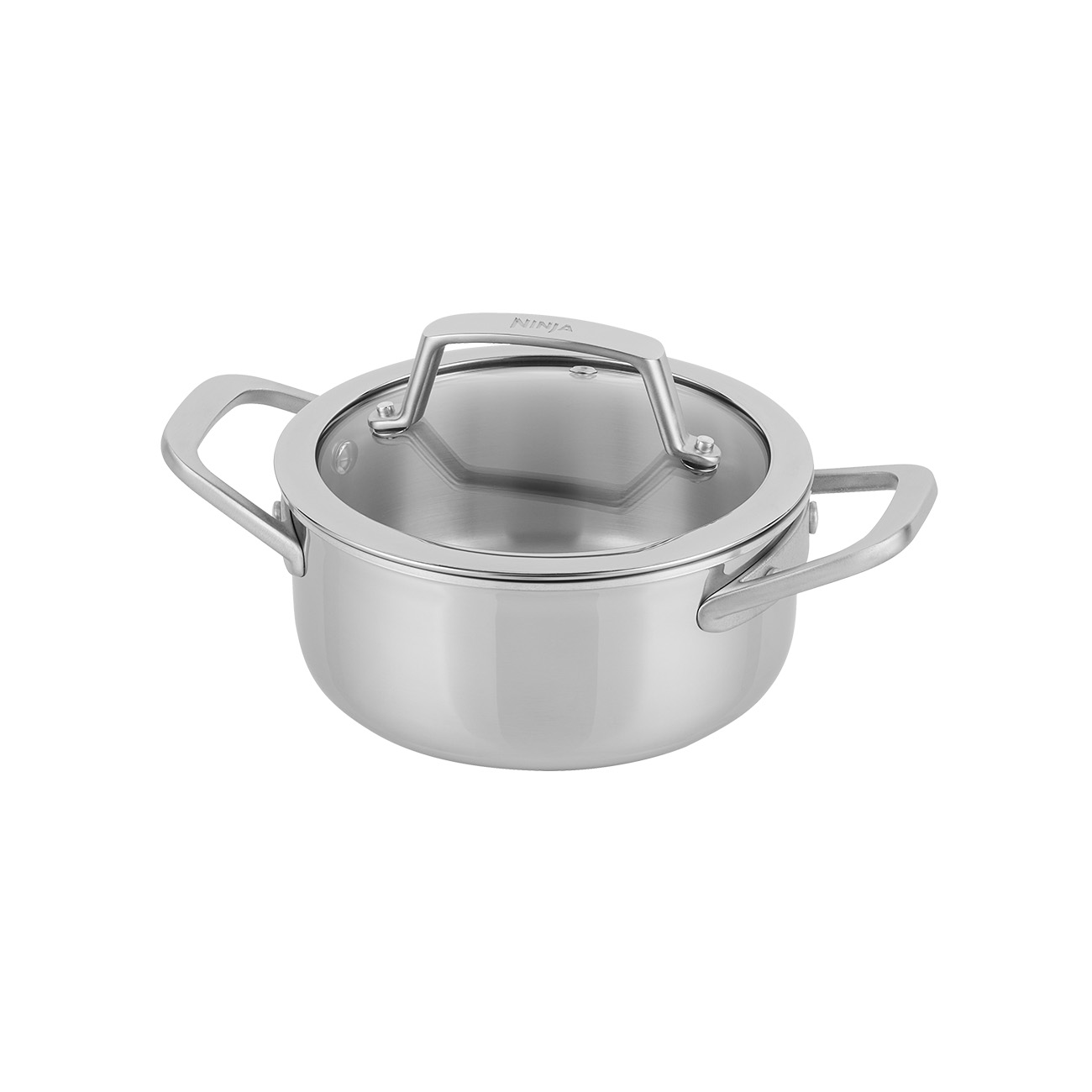 EverClad Suppentopf aus Edelstahl (16 cm) | ofenfest bis 315 ?C | Sp?lmaschinengeeignet | Geeignet f?r alle Herdarten | Edelstahl von Ninja