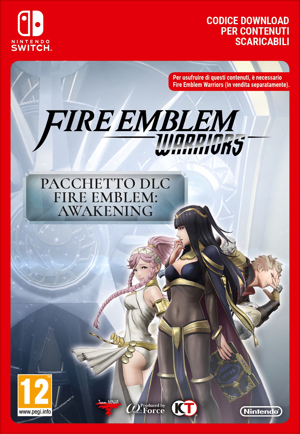 Fire Emblem Warriors: Fire Emblem Awakening Pack von Nintendo