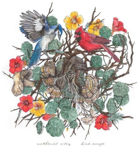 Bird Songs [Vinyl LP] von No Coincidence