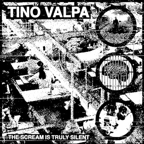 The Scream Is Truly Silent [Vinyl LP] von No Label