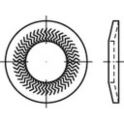 Sperrkantscheiben 8mm 22.25mm Edelstahl A4 500 St. 1069903 Sperrkantscheiben 8mm 22.25mm Edelstahl A4 500 St. 1069903 von No Name