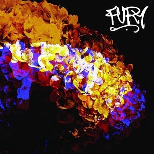 Fury [Vinyl Single] von No Sleep Records