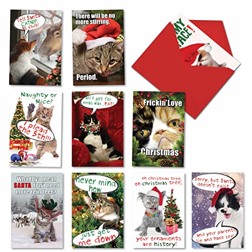 NobleWorks, PETiGreet Katzenmasse – 10 verschiedene Weihnachtskarten mit Umschlägen – lustige Box mit Katzenkarten für Weihnachten, Feiertage A1254 von NobleWorks