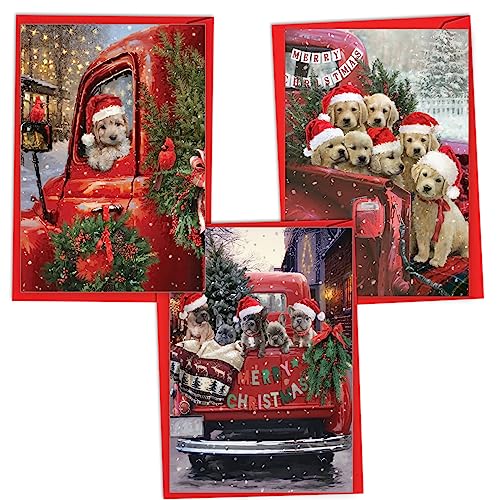 NobleWorks Trio VC3375ZXSG-C1x3 Weihnachtskarten mit Umschlägen (3 Designs, je 1 Stück) Red Truck Puppies von NobleWorks