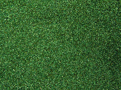 NOCH 8372 Scatter Material Field Balk Landscape Modelling Streumaterial, mittelgrün, 200 g, farbig von Noch