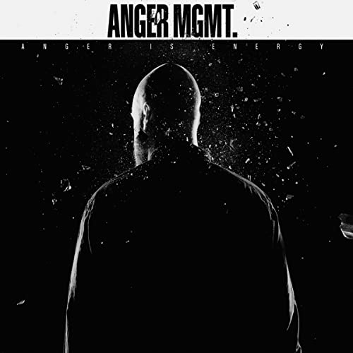 Anger Is Energy (Black Vinyl) [Vinyl LP] von Noisolution (Edel)