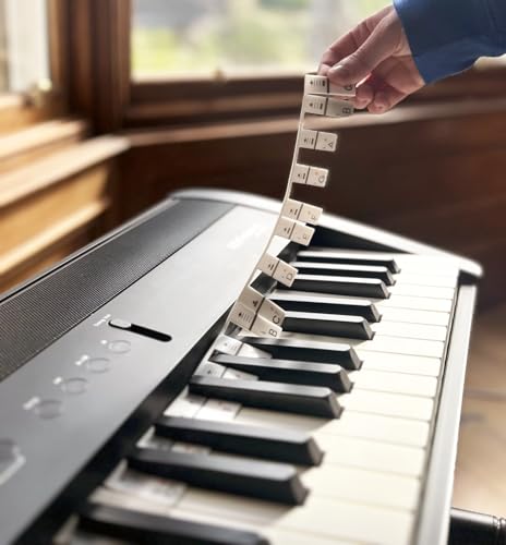 Noisy Clan Abnehmbare Silikon-Klavier- und Keyboard-Notenstreifen – passend für volle 88-Tasten-Tasten Noisy Clan Abnehmbare Silikon-Klavier- und Keyboard-Notenstreifen – passend für volle 88-Tasten-Tasten von Noisy Clan