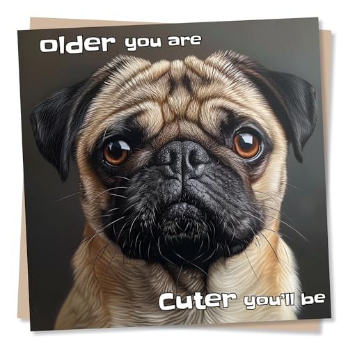 Geburtstagskarte mit niedlichem Mops-Motiv "Older You Are. Cuter You'll Be. - Für Mops- und Hundeliebhaber von Nokular