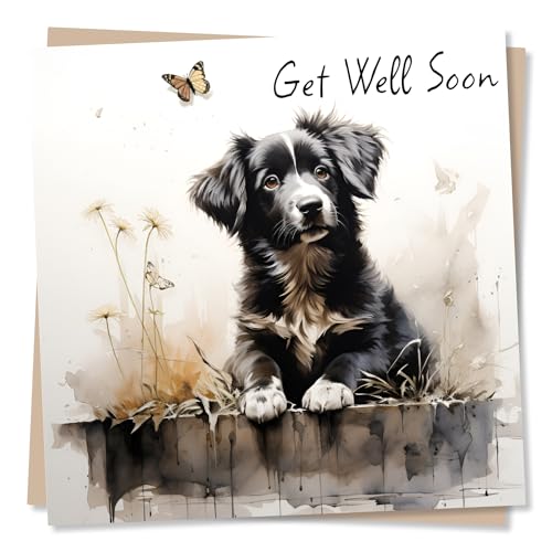 Schöne Welpe Gute Besserung Karte, niedliche Hunde-Grußkarte für Familie, Freunde, hergestellt in Großbritannien von Nokular
