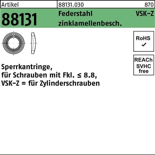 10000 Stk. Sperrkantring R 88131 VSK-Z 4x7x1,2 Federstahl zinklamellenb. 10000 Stk. Sperrkantring R 88131 VSK-Z 4x7x1,2 Federstahl zinklamellenb. von Noname