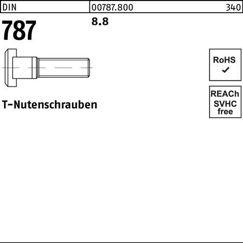 5 Stk. T-Nutenschraube DIN 787 24 M24x 160 8.8 5 Stück Noname 007878002424160 5 Stk. T-Nutenschraube DIN 787 24 M24x 160 8.8 5 Stück Noname 007878002424160 von Noname