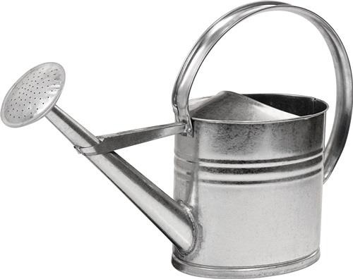 Gießkanne 10l silber MET verz. Noname 02OW10L von Noname