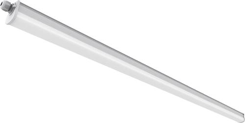 Nordlux Westport 120 Feuchtraumleuchte LED 23W Neutralweiß Grau Nordlux Westport 120 Feuchtraumleuchte LED 23W Neutralweiß Grau von Nordlux