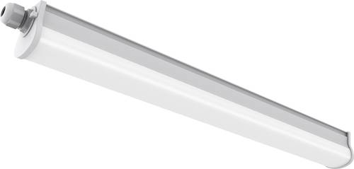 Nordlux Westport 60 Feuchtraumleuchte LED 11W Neutralweiß Grau Nordlux Westport 60 Feuchtraumleuchte LED 11W Neutralweiß Grau von Nordlux