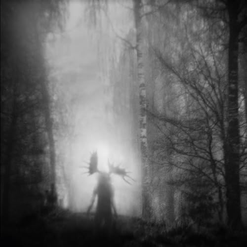 From the Infinite Light von Nordvis (H'Art)