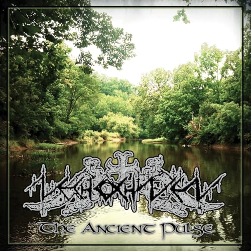 Ancient Pulse von Nordvis