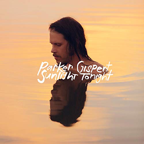 Sunlight Tonight [VINYL] [Vinyl LP] von Normaltown Records