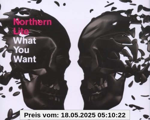 What You Want What You Want von Northern Lite