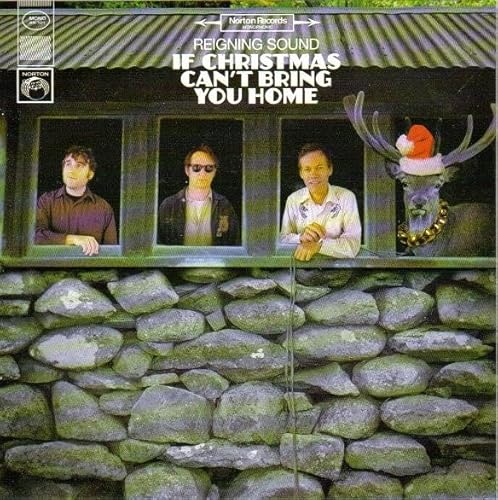 If Christmas Can't Bring You Home [Vinyl LP] von Norton