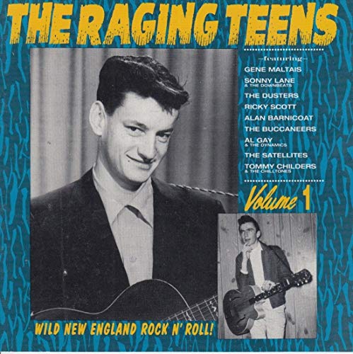 Raging Teens, Vol. 1 [Vinyl LP] von Norton