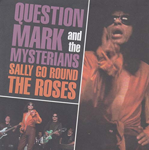 Sally Go Round the Roses / It's Not Easy [Vinyl Single] von Norton