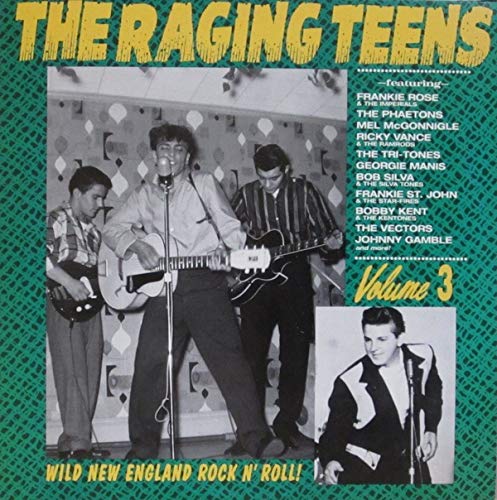 Vol.3-Raging Teens [Vinyl LP] von Norton