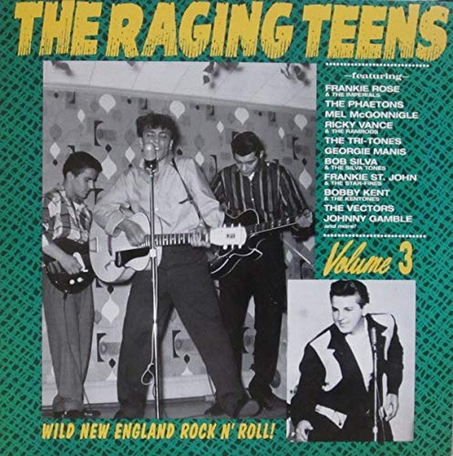 Raging Teens, Vol. 3 [Vinyl LP] von Norton