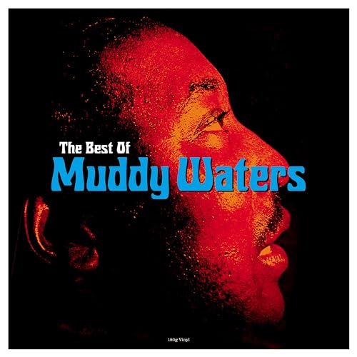 Best of Muddy Waters [Vinyl LP] von Not Now (H'Art)