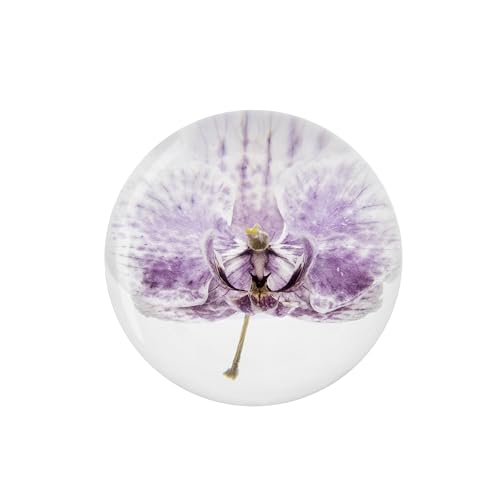 NouvoCrescent Briefbeschwerer mit echter violetter Orchidee, Heimdekoration, Kristallharzkugel, 80 mm, transparentes Kunstharz, violette Orchidee, Blumenkugel für besondere Tage, Kugelfigur NouvoCrescent Briefbeschwerer mit echter violetter Orchidee, Heimdekoration, Kristallharzkugel, 80 mm, transparentes Kunstharz, violette Orchidee, Blumenkugel für besondere Tage, Kugelfigur von NouvoCrescent