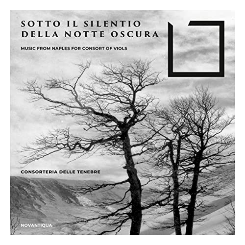 Sotto il Silentio della Notte Oscura von NOVANTIQUA